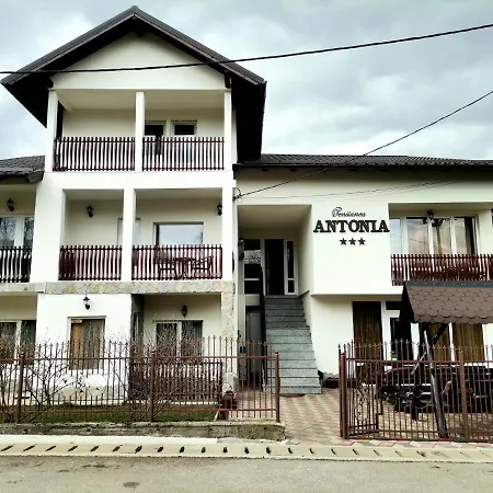 Pensiunea Antonia